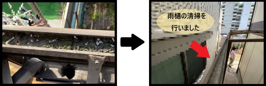 雨樋の清掃