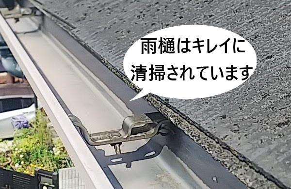 雨樋の詰まりがない