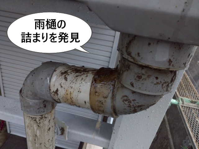 雨樋の詰まりを発見