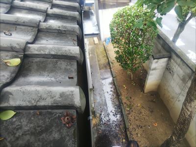 雨樋清掃④