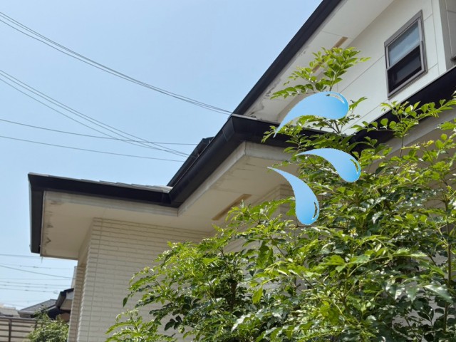 雨水　溢れる