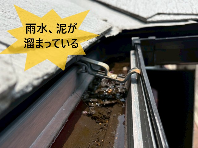 雨水、泥が溜まっている