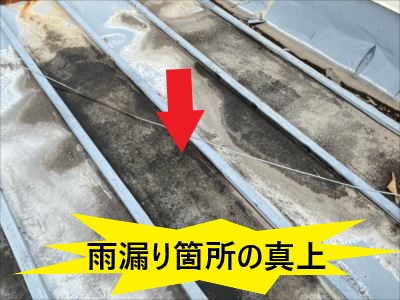 雨漏り箇所真上