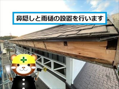 鼻隠しと雨樋設置