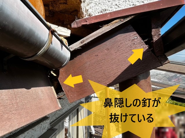 鼻隠しの釘が抜けている