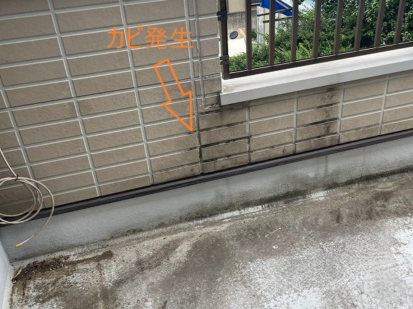 外壁修理のご相談　カビコケ藻発生