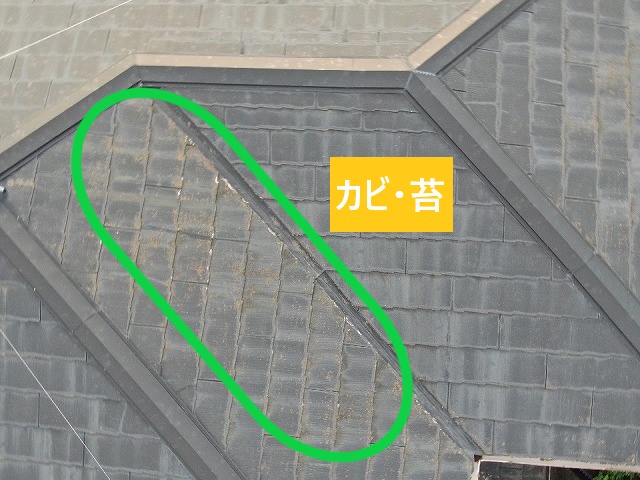 屋根