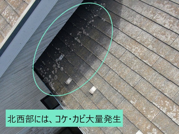 スレート屋根のコケ・カビ発生