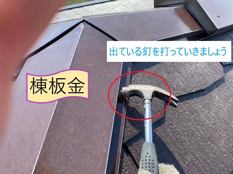 棟板金釘