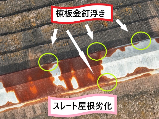 棟板金釘浮き