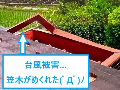 台風被害　火災保険で賢く修理しましょう♪