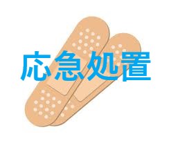 雨漏り修理　応急処置VS根本修理