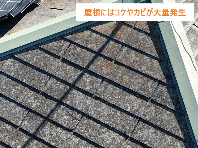 太陽光が載っている屋根、街の屋根やさん春日部店にお任せください♪