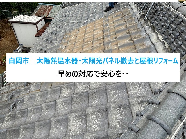 白岡市太陽熱温水器撤去・太陽光パネル撤去