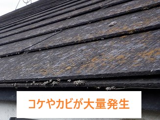 屋根メンテナンス　塗装のタイミングは？