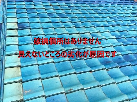 瓦表面の状態確認
