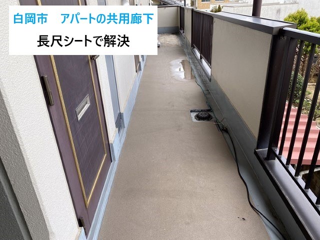 長尺シートでアパートの共用通路の防水工事を実施しました