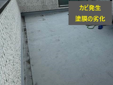 外壁リフォーム　安心を手に入れるために点検をしましょう♬