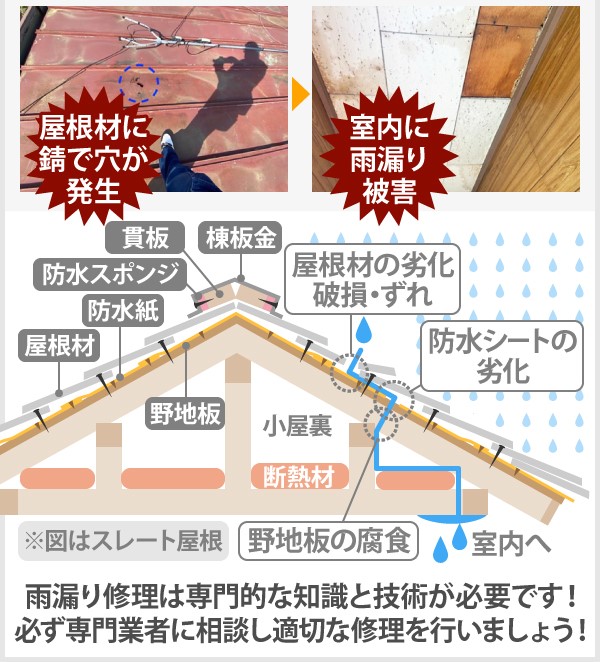 雨漏り修理　応急処置VS根本修理