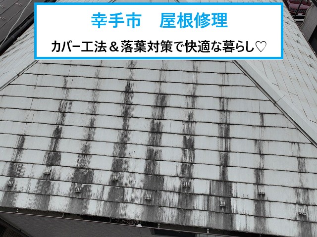 屋根カバー工法で不安解消