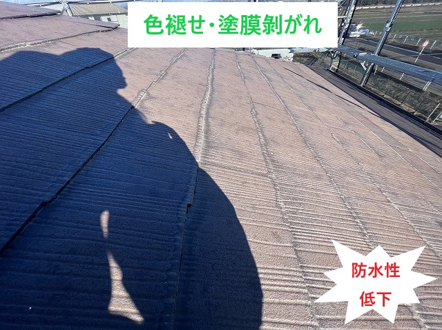 屋根材色褪せ塗膜劣化