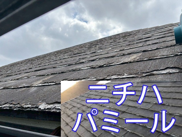 ニチハ・パミール