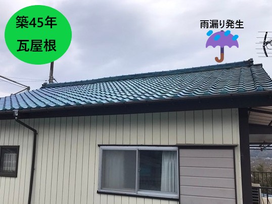 屋根全体の形状と雨漏り位置の確認