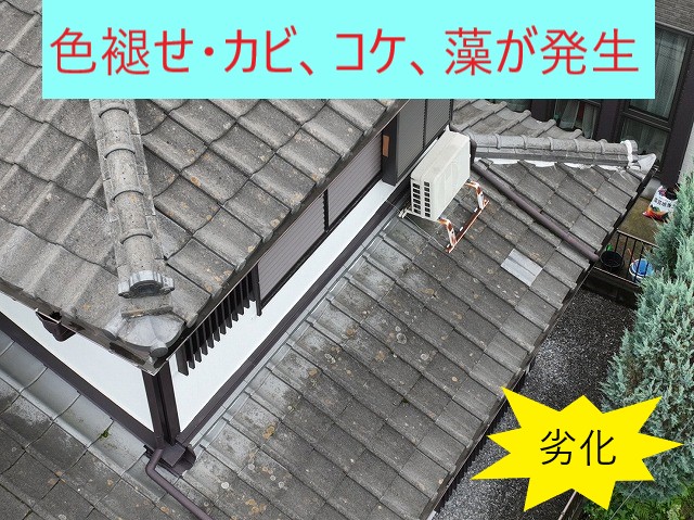 色褪せカビやコケ