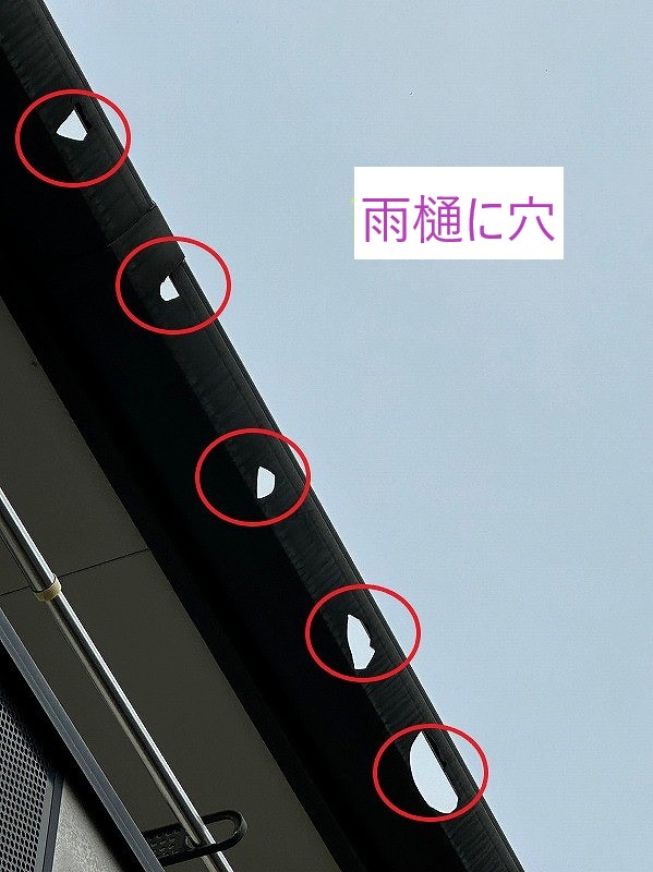 雨樋に穴