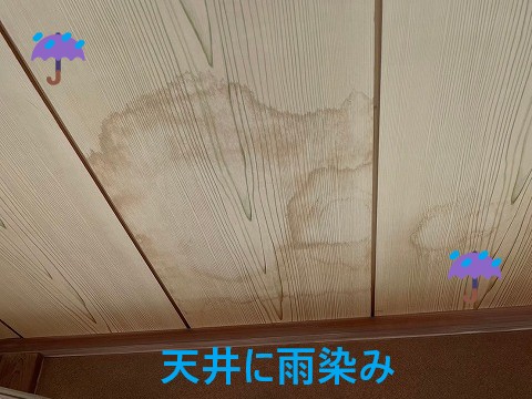 天井に雨染み