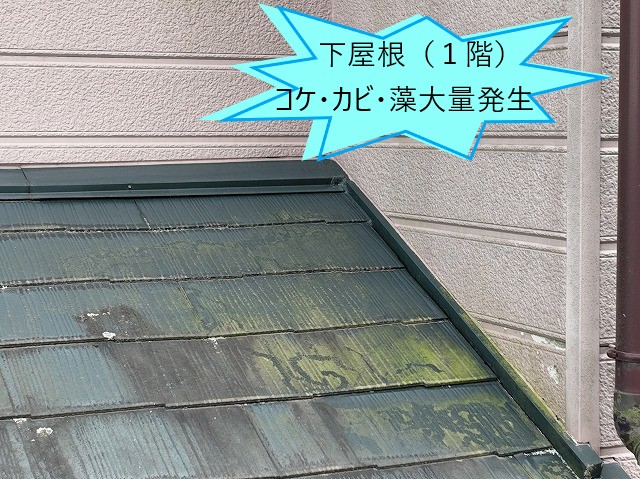 屋根リフォーム診断　経年劣化で現れる現象とは？