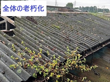屋根材の老朽化