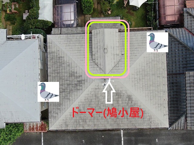 ドーマー(鳩小屋)