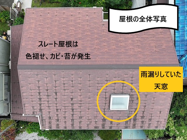 屋根の全体写真