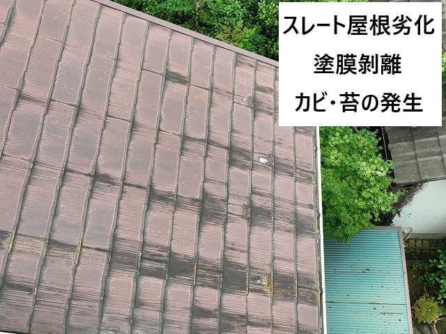 スレート屋根劣化