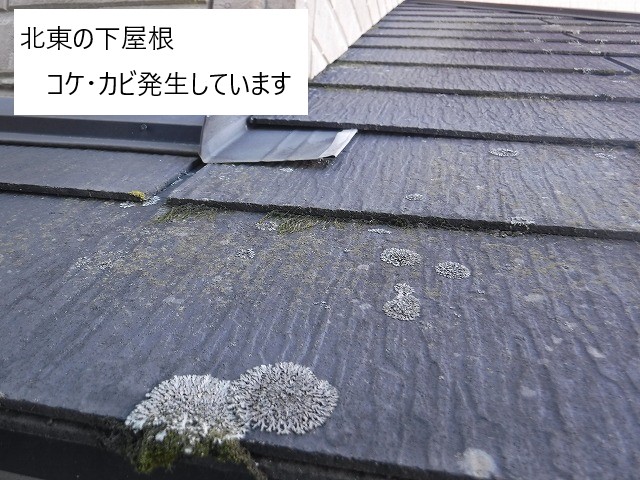 コケ・カビが発生している北東の下屋根