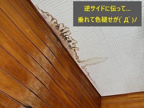 雨漏り発生！どこが原因？