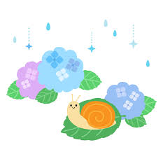 雨樋掃除　詰まりの解決法！落ち葉除けネットが大活躍