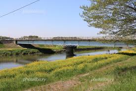 台風被害　火災保険で賢く修理しましょう♪