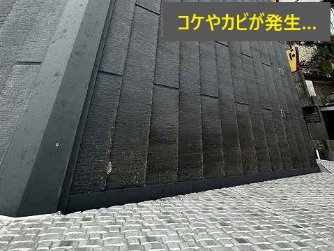 屋根修理のご相談！屋根材は問題のあるグリシェイドNEOでした。施工方法などもご紹介します。