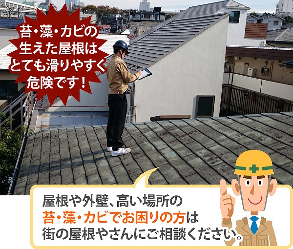 屋根に上るのは危険です