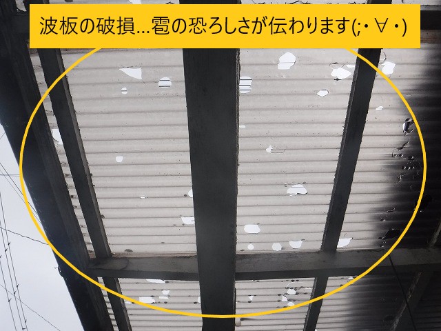 ベランダの波板穴だらけ