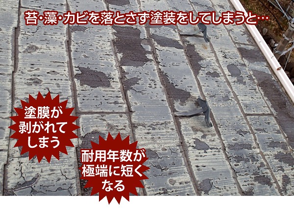 洗浄しないで塗装してしまうと