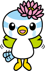 雨漏り修理　応急処置VS根本修理