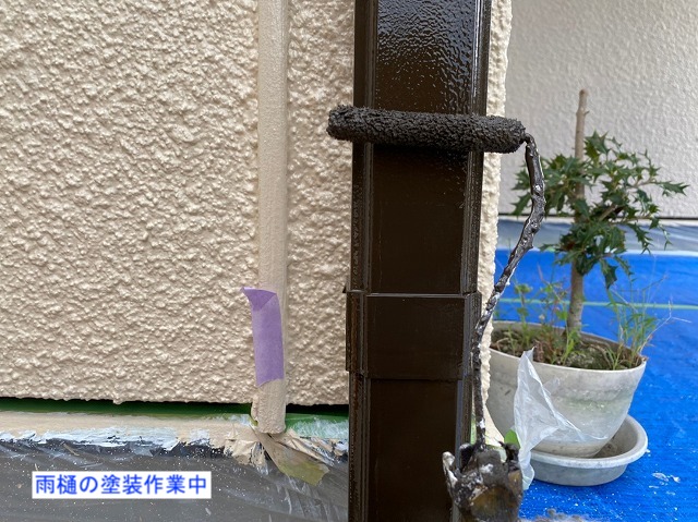 雨樋の塗装後