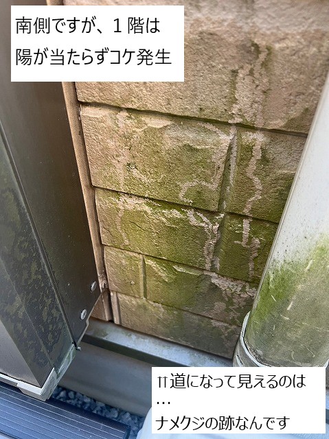 南でも日の当たらない所はカビが
