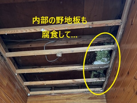 雨漏り発生！どこが原因？