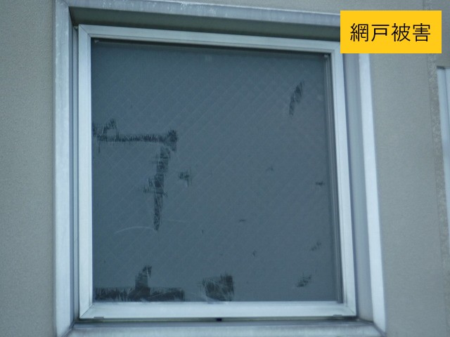 雹の被害で網戸に穴