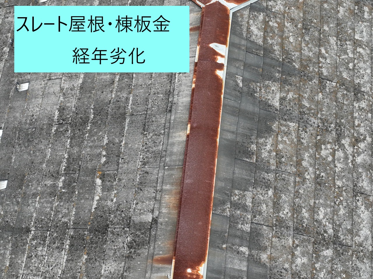 屋根のリフォーム検討中