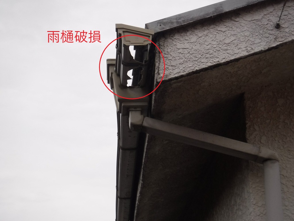 雨樋破損